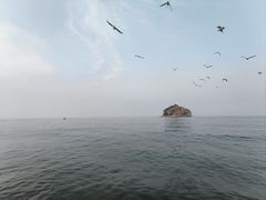 -棒棰岛宾馆景区