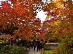 -常寂光寺