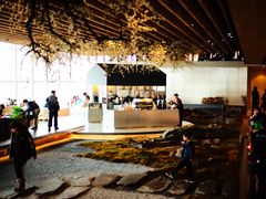 -Seesaw Coffee(朝阳大悦城店)