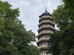 -灵谷景区