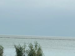 -苏州太湖国家湿地公园