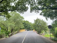 -东方绿舟景区
