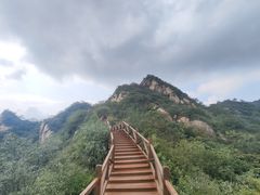 -大岭沟猕猴桃谷风景区