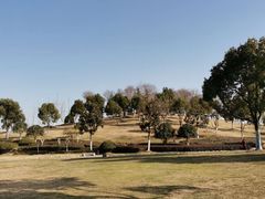 -滨湖塘西河公园
