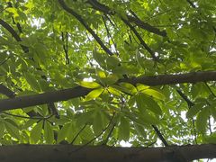 -成都市活水公园