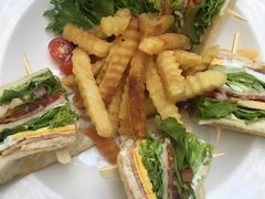 -Fern Forest Cafe