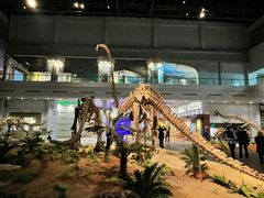 -自贡恐龙博物馆