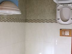 -金山农民画村-枫泾波兰倒置屋