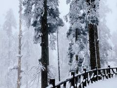 -瓦屋山景区