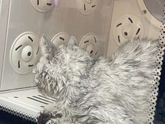 -FAELING PETS美天灵宠物(富力广场店)