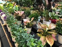 -果蔬好生活超市(乐堤港店)