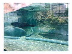 -福州罗源湾海洋世界旅游区