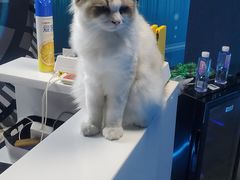 -零纪元VR体验馆·桌游(黄浦店)