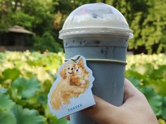 -莫催咖啡