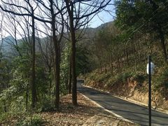 -午潮山国家森林公园