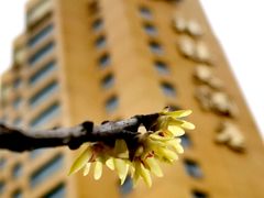 -神旺大酒店-停车场