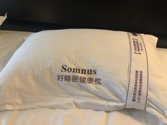 -乐山上善居·养心禅景酒店(世豪广场高铁站店)