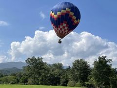 -云南野生菌石锅鱼石锅鸡(大金塔店)