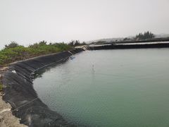 -硇洲岛旅游区