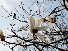 -华南国家植物园-售票处