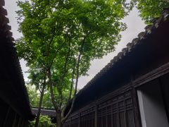 -陶记正宗德州扒鸡(科巷店)