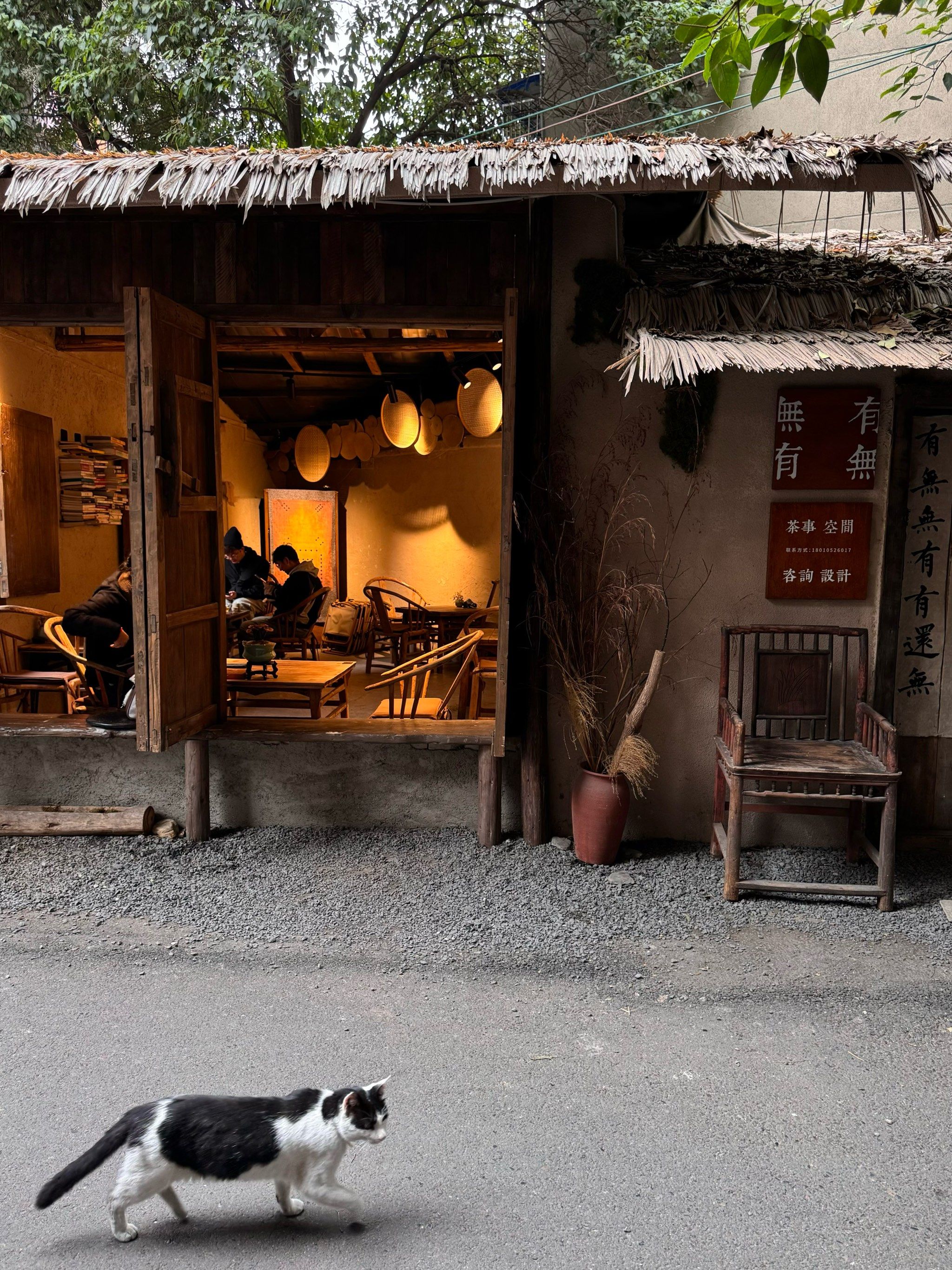成都市区少有的老式茶馆🍵
