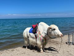-青海湖国家重点风景名胜区
