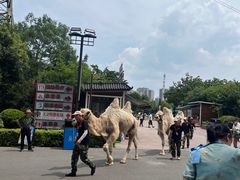 -华夏文旅西安度假区