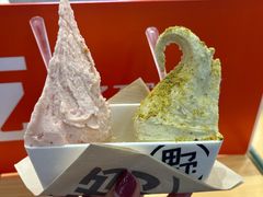 -野人先生现做冰淇淋(西安赛格店)