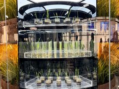 -上海科技馆(地铁站)