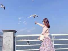 -滇池海埂公园