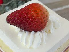 -可莎蜜儿(朝晖店)