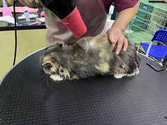 -美联众合动物医院(唯恩分院)