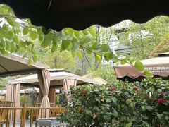 -二荆条·蜀鲜汇城市森林火锅