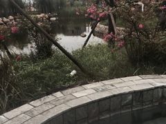 -青岛海泉湾度假区温泉