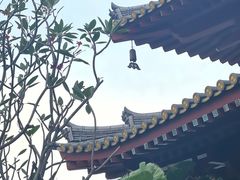 -新加坡佛牙寺龙华院