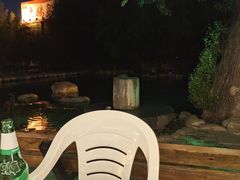-大鹅岛绿色生态美食园