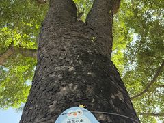 -深圳野生动物园