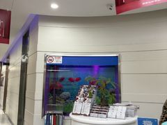 -雅悦齿科(顾村公园店)