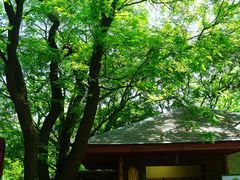 -国家植物园南园