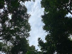 -武吉知马自然保护区