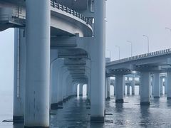 -星海湾跨海大桥