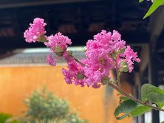 -天台山国清景区(国清寺)