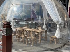-上海崇明金茂凯悦酒店