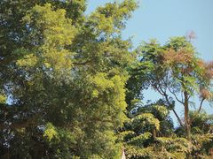 -麓湖高尔夫球俱乐部