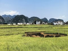 -万峰林风景区