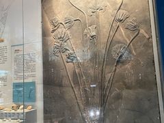 -湖南省地质博物馆