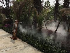 -苏州湾王焰温泉度假酒店