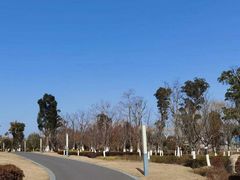 -九科绿洲