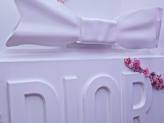 -Dior迪奥(上海世茂广场店)